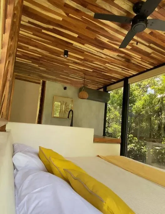Апартаменты Invisible House Tulum - Jungle Studio Мексика