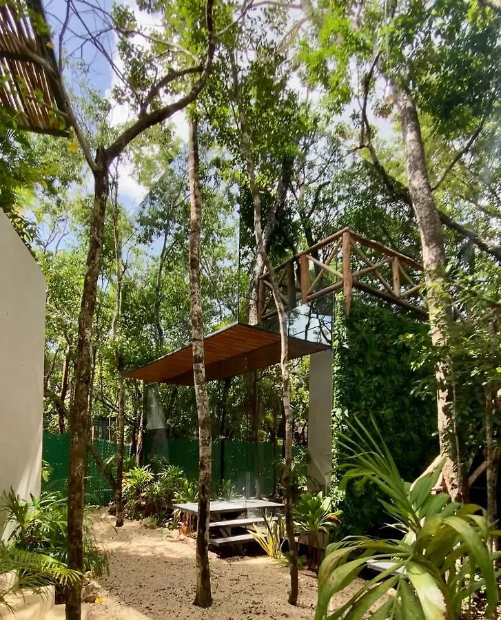 Апартаменты Invisible House Tulum - Jungle Studio Мексика